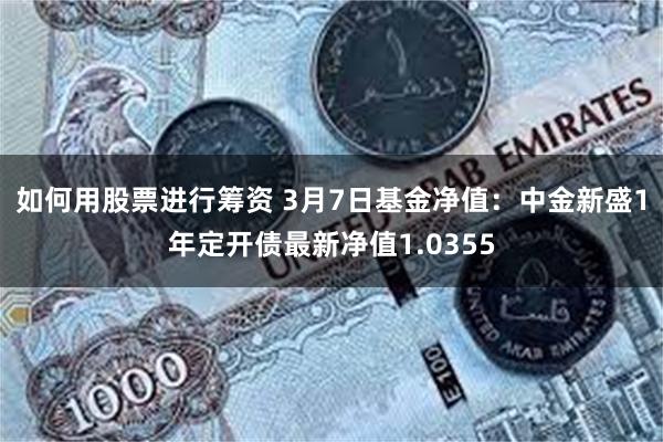 如何用股票进行筹资 3月7日基金净值：中金新盛1年定开债最新净值1.0355