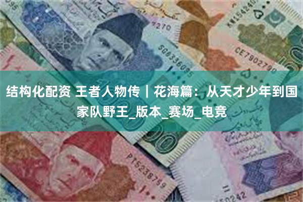 结构化配资 王者人物传｜花海篇：从天才少年到国家队野王_版本_赛场_电竞