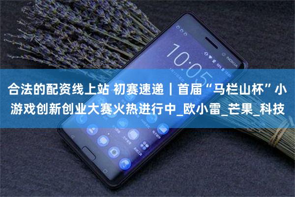 合法的配资线上站 初赛速递｜首届“马栏山杯”小游戏创新创业大赛火热进行中_欧小雷_芒果_科技