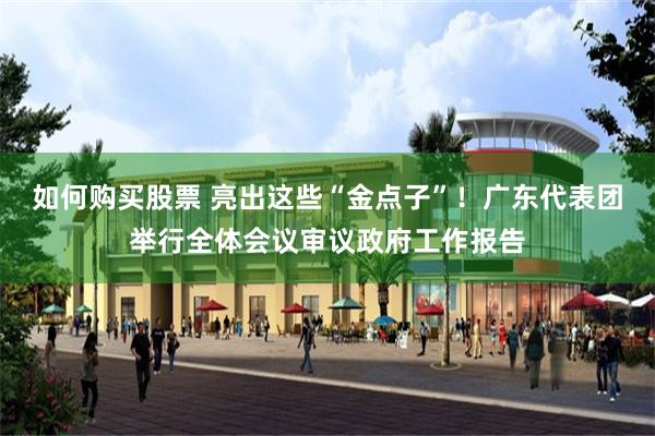 如何购买股票 亮出这些“金点子”！广东代表团举行全体会议审议政府工作报告