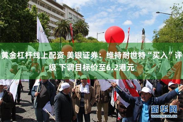黄金杠杆线上配资 美银证券：维持耐世特“买入”评级 下调目标价至6.2港元