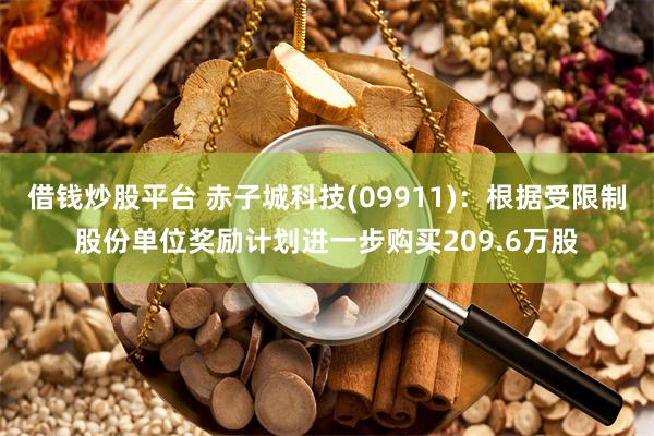 借钱炒股平台 赤子城科技(09911)：根据受限制股份单位奖励计划进一步购买209.6万股