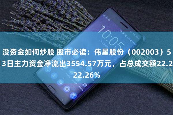 没资金如何炒股 股市必读：伟星股份（002003）5月13日主力资金净流出3554.57万元，占总成交额22.26%