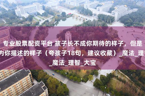 专业股票配资平台 孩子长不成你期待的样子，但是可以成为你描述的样子（夸孩子18句，建议收藏）_魔法_理智_大宝