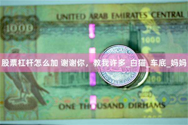 股票杠杆怎么加 谢谢你，教我许多_白猫_车底_妈妈