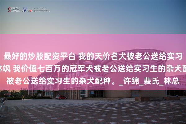 最好的炒股配资平台 我的天价名犬被老公送给实习生的杂犬配种 裴言彻林飒 我价值七百万的冠军犬被老公送给实习生的杂犬配种。_许绵_裴氏_林总