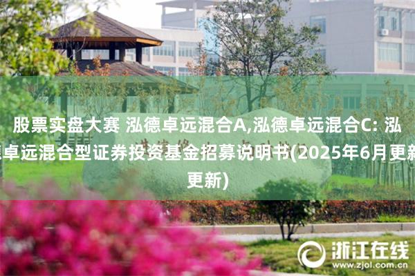 股票实盘大赛 泓德卓远混合A,泓德卓远混合C: 泓德卓远混合型证券投资基金招募说明书(2025年6月更新)