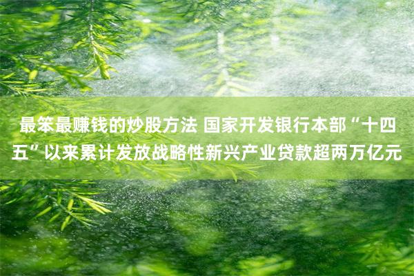 最笨最赚钱的炒股方法 国家开发银行本部“十四五”以来累计发放战略性新兴产业贷款超两万亿元