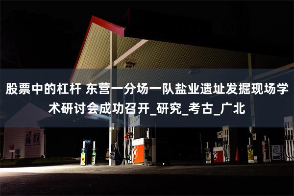 股票中的杠杆 东营一分场一队盐业遗址发掘现场学术研讨会成功召开_研究_考古_广北