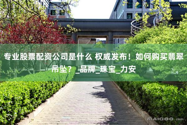 专业股票配资公司是什么 权威发布！如何购买翡翠吊坠？_品牌_珠宝_力安