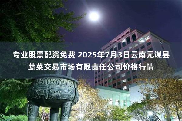 专业股票配资免费 2025年7月3日云南元谋县蔬菜交易市场有限责任公司价格行情