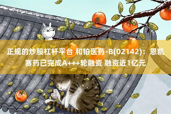 正规的炒股杠杆平台 和铂医药-B(02142)：恩凯赛药已完成A+++轮融资 融资近1亿元
