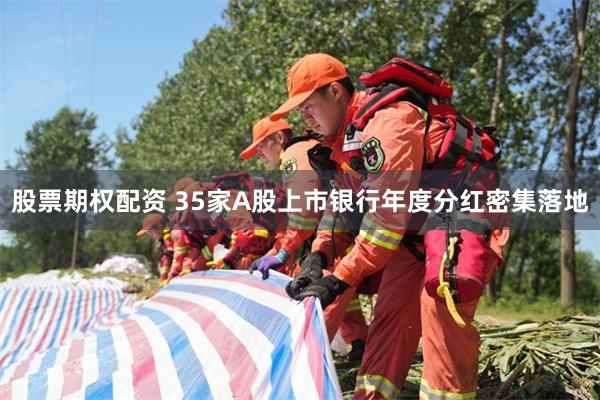 股票期权配资 35家A股上市银行年度分红密集落地