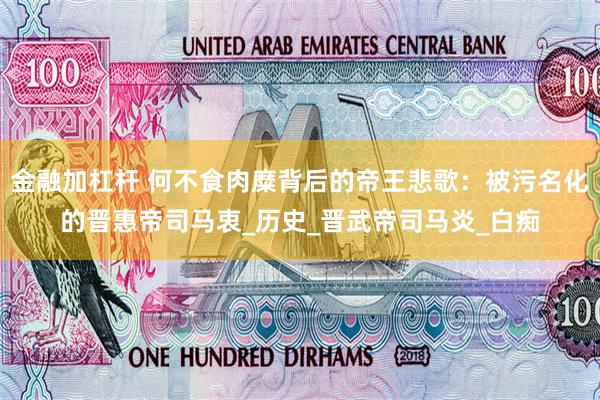 金融加杠杆 何不食肉糜背后的帝王悲歌：被污名化的晋惠帝司马衷_历史_晋武帝司马炎_白痴