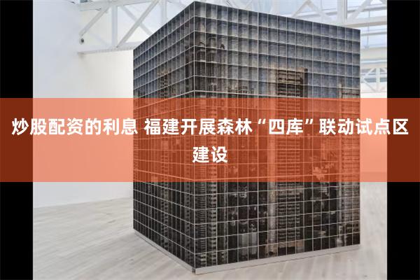 炒股配资的利息 福建开展森林“四库”联动试点区建设