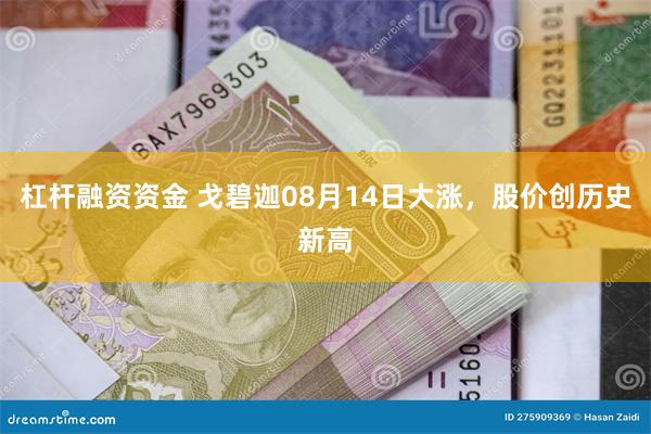 杠杆融资资金 戈碧迦08月14日大涨，股价创历史新高